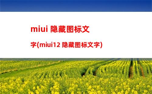 miui 隐藏图标文字(miui12 隐藏图标文字)